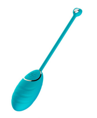 Œuf vibrant bleu avec télécommande USB 